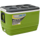 Термобокс Ванго Піннакл 57Л Зелений (ACRPINACL0CBZ35)
