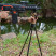 Трипод Fiery Deer DX-004-02GEN5 5-е покоління, висота 180 см