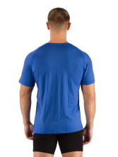 Футболка чоловіча Lasting QUIDO, M, синя