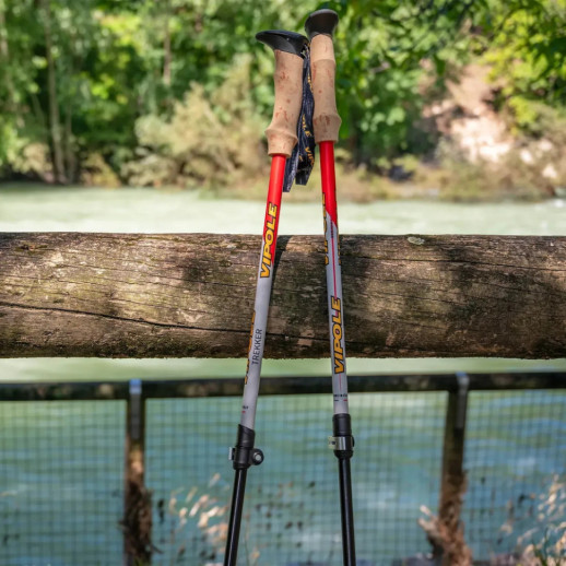 Палиці трекінгові Vipole Trekker Cork (S25 09)