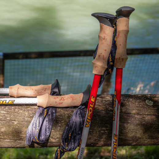 Палиці трекінгові Vipole Trekker Cork (S25 09)