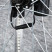 Ліхтарик на спиці велосипеда Police A77-64rgb програмований