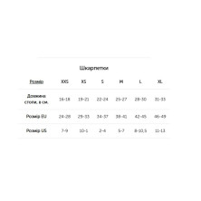 Термошкарпетки активний спорт Lasting DUHA 963 - L - синій/зелений/червоний