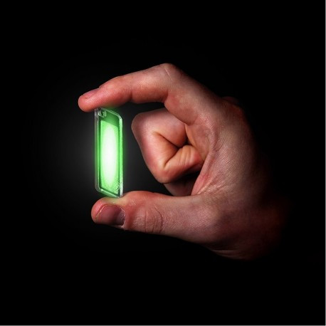 Брелок-ліхтарик Lifesystems Intensity Glow Tag green (42405)