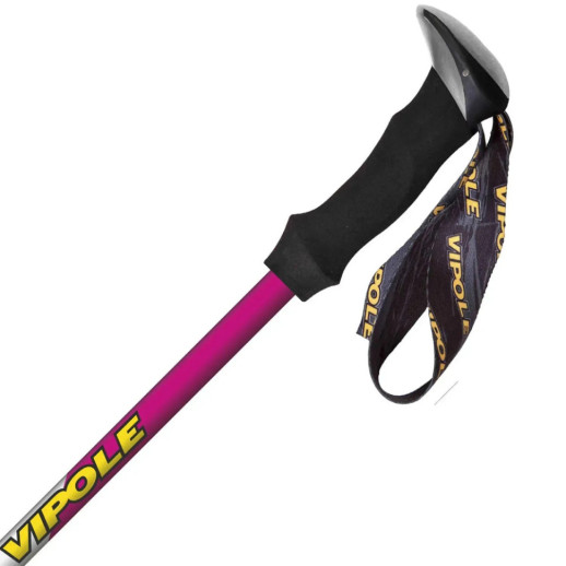 Палиці трекінгові Vipole Trekker Violet (S25 11)