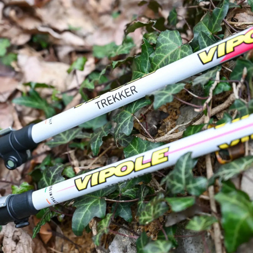 Палиці трекінгові Vipole Trekker Violet (S25 11)