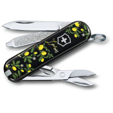 Ніж складаний Victorinox Classic Le (0.6223.L1905)