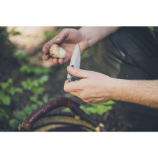 Ніж складний Gerber Sumo Folder, чорний, коробка (1055366)