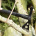 Сокира SOG Tactical Tomahawk, Black (SOG F01TN-CP)