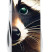 Складаний ніж Victorinox DELUXE TINKER ANIMAL Єнот