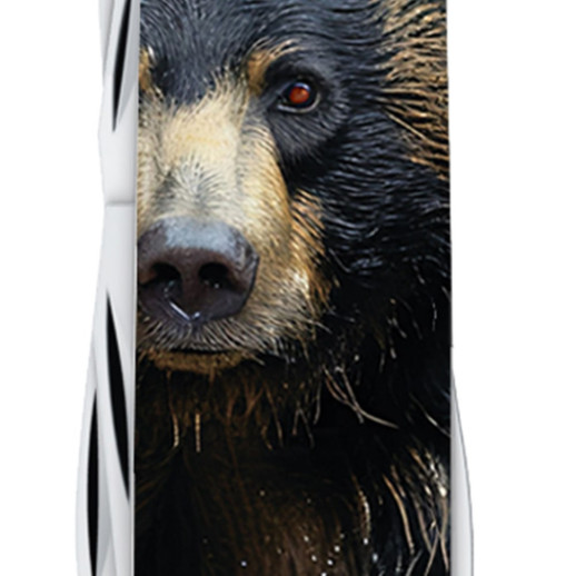 Складаний ніж Victorinox FIELDMASTER ANIMAL Чорний ведмідь