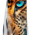 Складаний ніж Victorinox HIKER ANIMAL Леопард