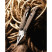 Мультиінструмент Leatherman ARC Talos