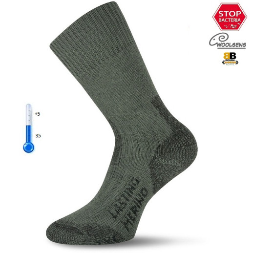 Шкарпетки для активного відпочинку Lasting TXC 620