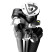 Штатив Vanguard VEO 3T+ 264AB