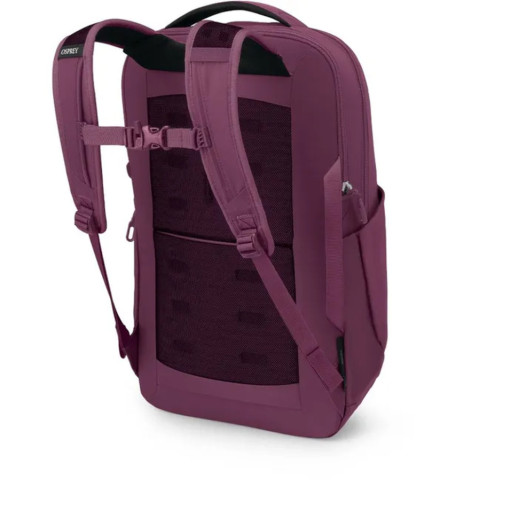 Рюкзак Osprey Ozone Laptop Backpack moody burgundy - O/S - темно-бордовий