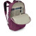 Рюкзак Osprey Ozone Laptop Backpack moody burgundy - O/S - темно-бордовий