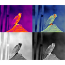 Монокуляр тепловізійний Guide TD210 256x192. 1000м