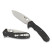 Ніж Spyderco Amalgam (C234CFP)