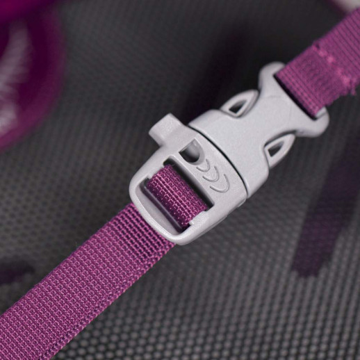 Рюкзак Osprey Daylite 13 Amulet Purple