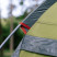 Намет Tramp Bell 3 (V3) UTRT-107-olive