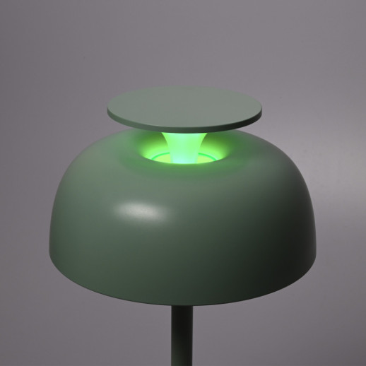 Лампа настiльна з акумулятором VIDEX VL-TF24G 8W 4000K+RGB Green