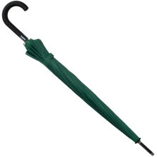 Парасолька Semi Line Green (2512-6)