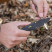Ніж SOG Aegis AT, Black/Moss (SOG 11-41-11-41)