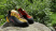 Скельні туфлі La Sportiva Testarossa Red /Yellow розмір 38