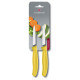 Кухонний набір Victorinox SwissClassic Paring (6.7606.L118B)