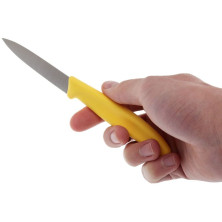 Кухонний набір Victorinox SwissClassic Paring (6.7606.L118B)