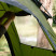 Намет Tramp Bell 4 (V3) UTRT-108-olive