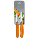 Кухонний набір Victorinox SwissClassic Paring (6.7606.L119B)