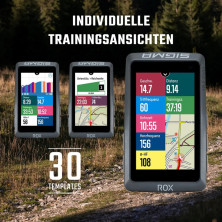 Велокомп'ютер Sigma Sport ROX 12.1 EVO Gray