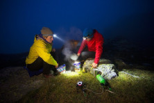 Сублімати Trek'n Eat картопля тушкована з цибулею