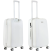 Валіза CarryOn Skyhopper TSA (M) White (502417)