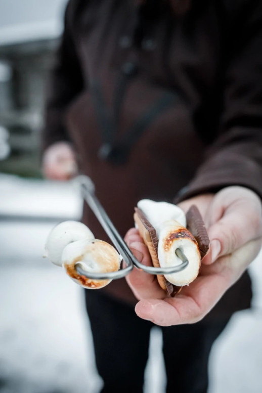 Набір шампурів загнутих Petromax Campfire Skewer LS2 (2 шт)