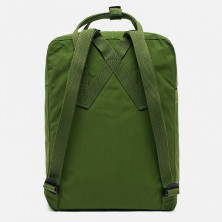 Рюкзак Fjallraven Kanken Leaf Green