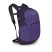 Рюкзак Osprey Daylite Plus-фіолетовий