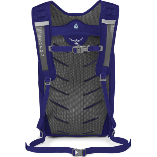 Рюкзак Osprey Daylite Plus-фіолетовий