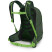 Рюкзак Osprey Talon Jr green canopy - O/S - зелений