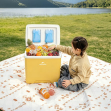 Туристичний холодильник Naturehike Whales PU CNK2450CF012, 32 л, світло-коричневий