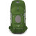 Рюкзак Osprey Aether 70 Bonsai Green, MD