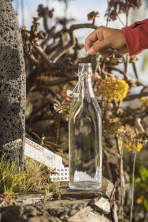 Таблетки для дезінфекції води Micropur Forte MF 1T/100 (4x25 таблеток)