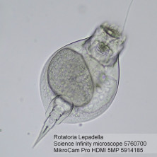 Мікроскоп Bresser Science Infinity 40x-1000x