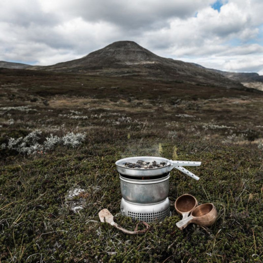 Сковорідка Trangia Frypan 25 D 22 см