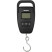 Ваги Brain Fishing Scales 50kg*10g