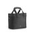 Сумка EcoFlow River Bag