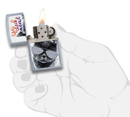 Запальничка Zippo 207 Cat With Glasses Design 29619