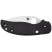 Ніж Spyderco Sage 6, black
